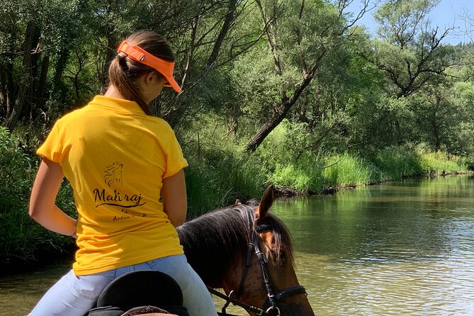 Horseback Riding Across River Ljuta with transport - Is $230.36 a fair price?