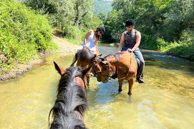 Horseback Riding Across River Ljuta with transport - Who will enjoy this most