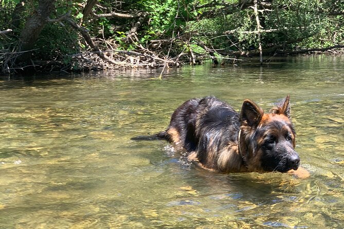 Horseback Riding Across River Ljuta with transport - What to know before you book