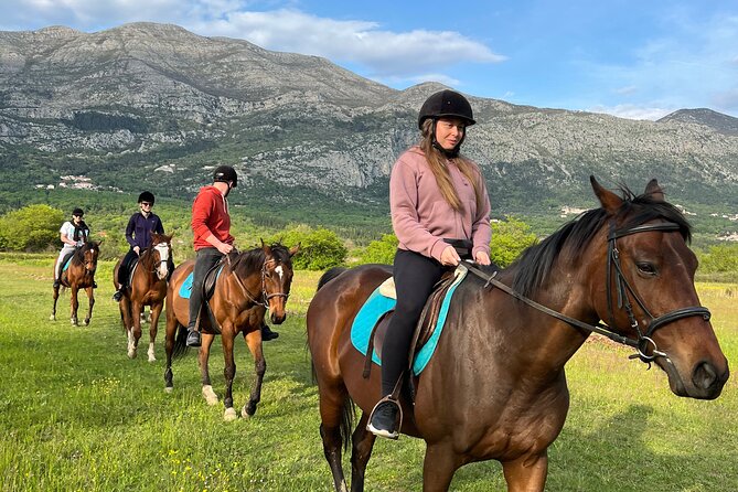 Horseback Riding Experience with transport from Dubrovnik - Key points to know before you book