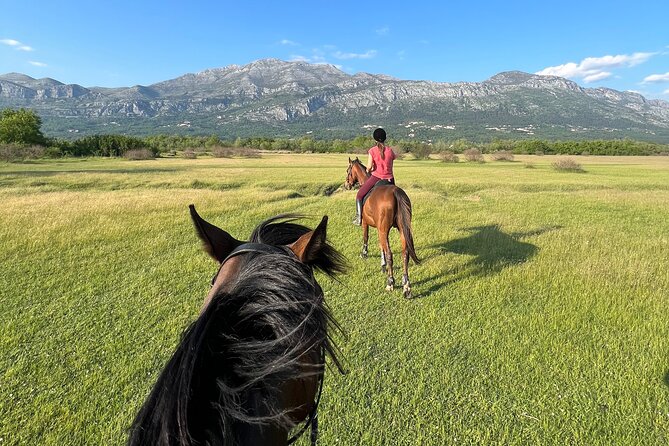 Horseback Riding Experience with transport from Dubrovnik - Leaving Dubrovnik for the Konavle countryside