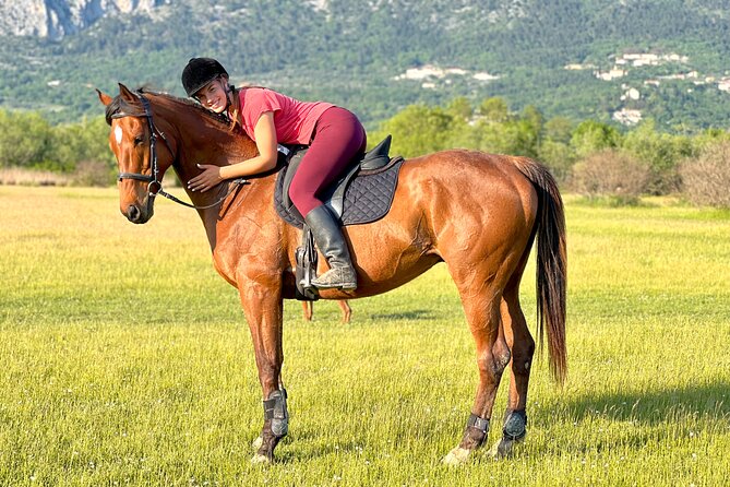 Horseback Riding Experience with transport from Dubrovnik - Meeting the horses and getting ready to ride