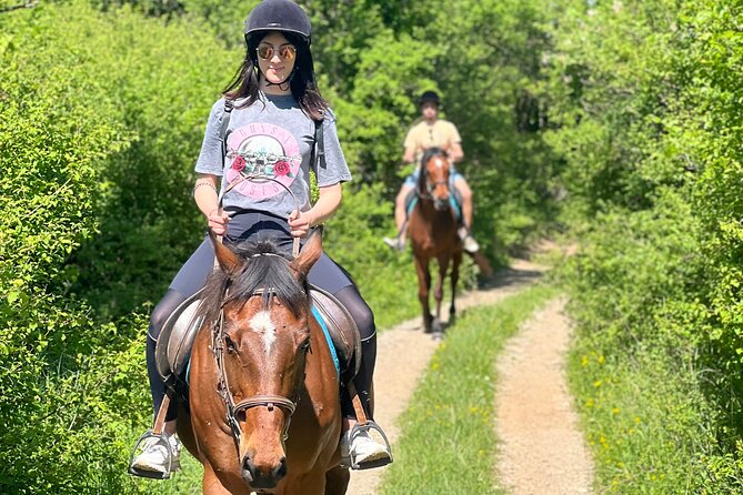 Horseback Riding Experience with transport from Dubrovnik - What the $118.94 price really buys