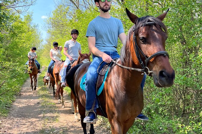 Horseback Riding Experience with transport from Dubrovnik - Who will enjoy this horseback ride most