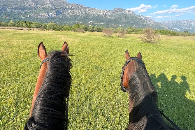 Horseback Riding Experience with transport from Dubrovnik - Timing, weather, and cancellation cautions