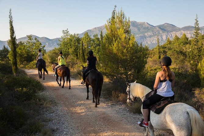 Horseback Riding in Konavle Region with Transport from Dubrovnik - Two hours through Konavle’s woods and coast