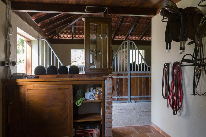Horseback Riding in Konavle Region with Transport from Dubrovnik - Sandwiches, wine, and the stable after the ride