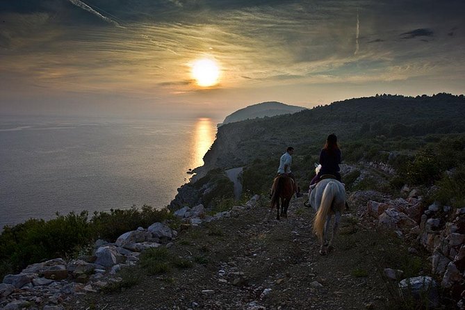 Horseback Riding in Konavle Region with Transport from Dubrovnik - Is $168.95 good value?