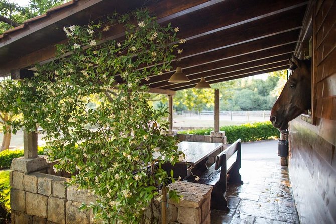 Horseback Riding in Konavle Region with Transport from Dubrovnik - Practical limits and small cautions