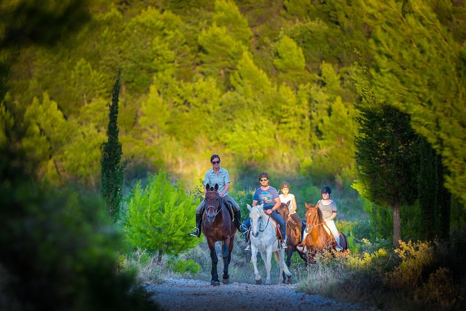 Horseback Riding in Konavle Region with Transport from Dubrovnik - Meeting the horses and learning the basics