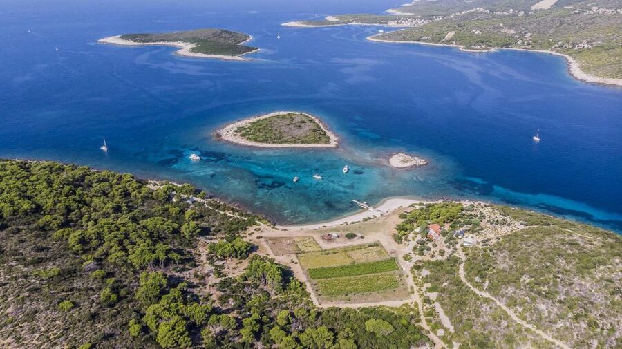 Hvar: Blue Cave, Green Cave & Stiniva Beach Speed Boat Tour - The guide can make or break the day