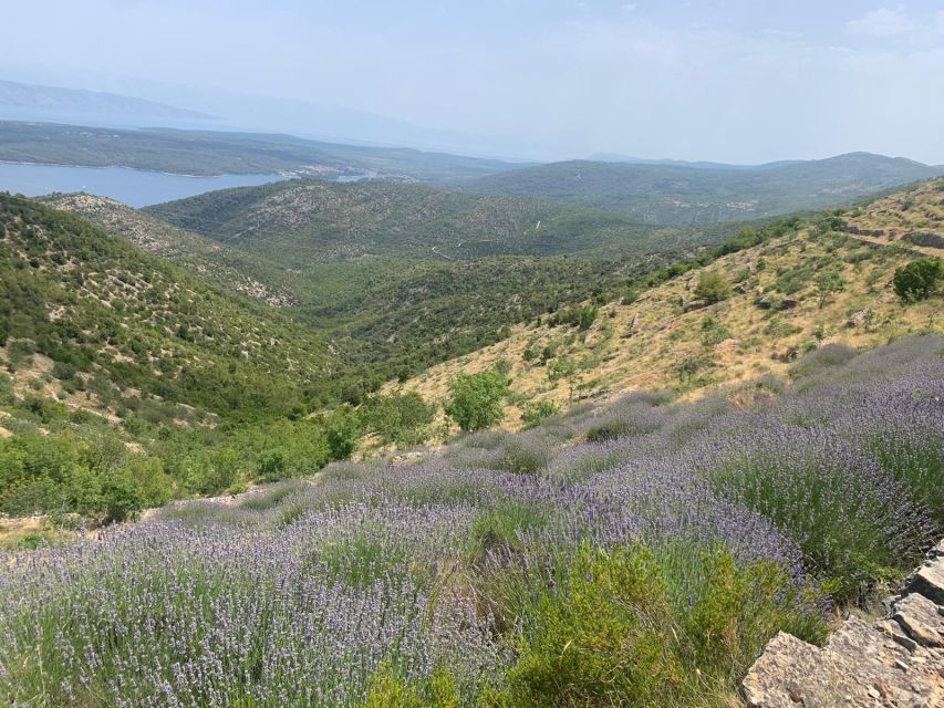 Hvar Hidden Gems Tour with Lunch or Dinner - Key points to know before booking
