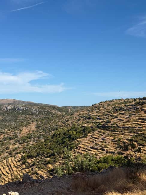 Hvar: Hvar Wine Tasting Experience - Key points to know before you book