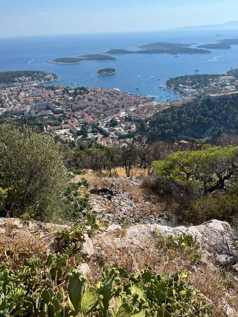 Hvar: Hvar Wine Tasting Experience - What happens at the winery