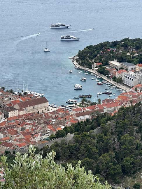 Hvar: Hvar Wine Tasting Experience - Understanding Hvar wine without a formal lecture