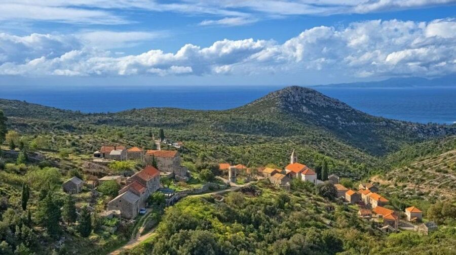 Hvar: Island tour with Wine and Olive Oil Tasting - Napoleon Fortress gives you the first big view