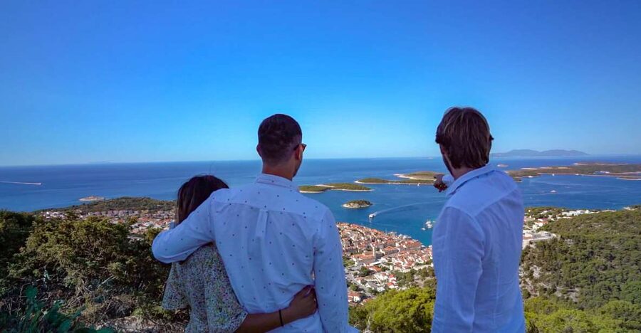 Hvar: Island tour with Wine and Olive Oil Tasting - Should you book the Hvar island wine tour?
