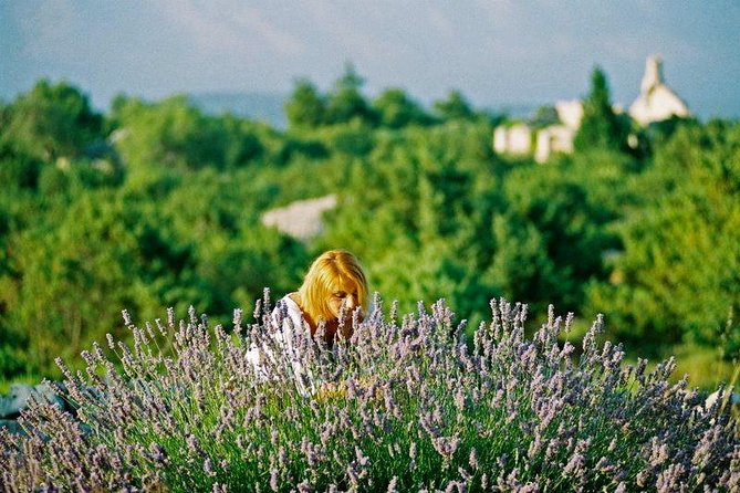 Hvar Lavender Small Group Tour - Brusje: flowers, scent, and open sea views