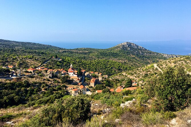 Hvar Lavender Tour - Walking through stone walls and aromatic plants