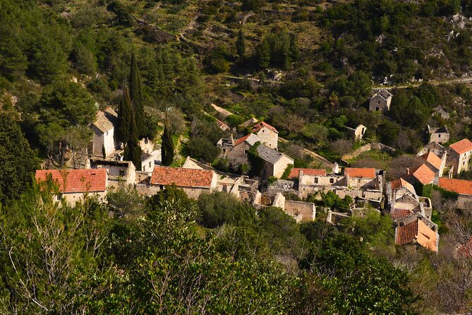 Hvar Lavender Tour - Why the guide matters so much