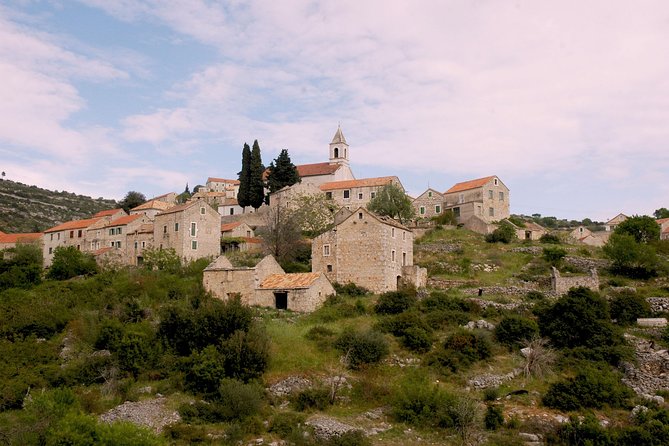 Hvar Lavender Tour - Is $96.23 a fair price?