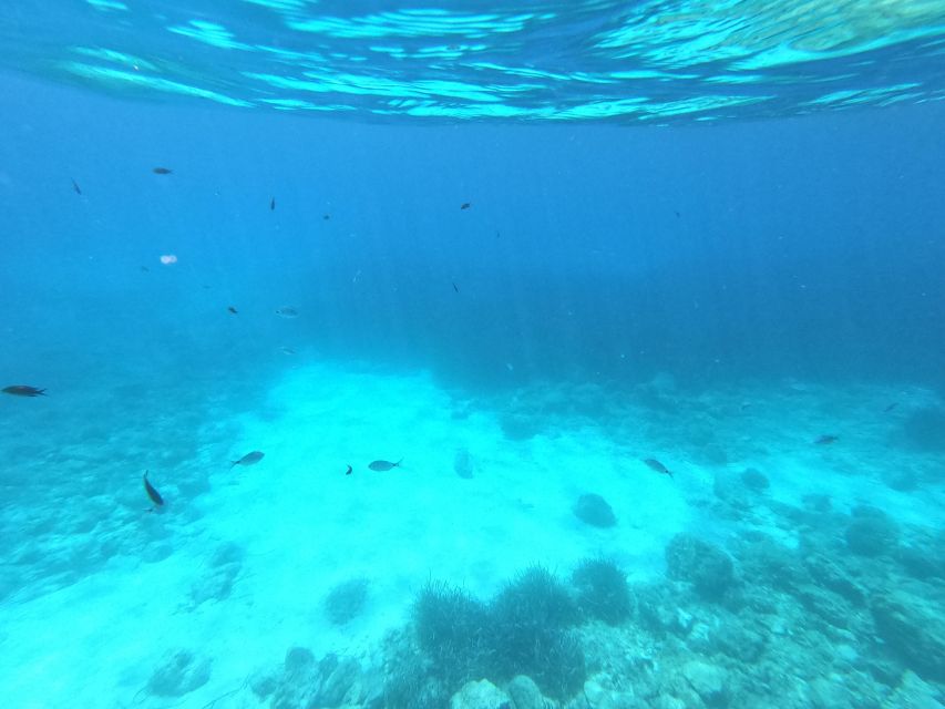 Hvar: Private Sailing Boat Trip with Swimming and Snorkeling - Swimming, snorkeling, and time on deck