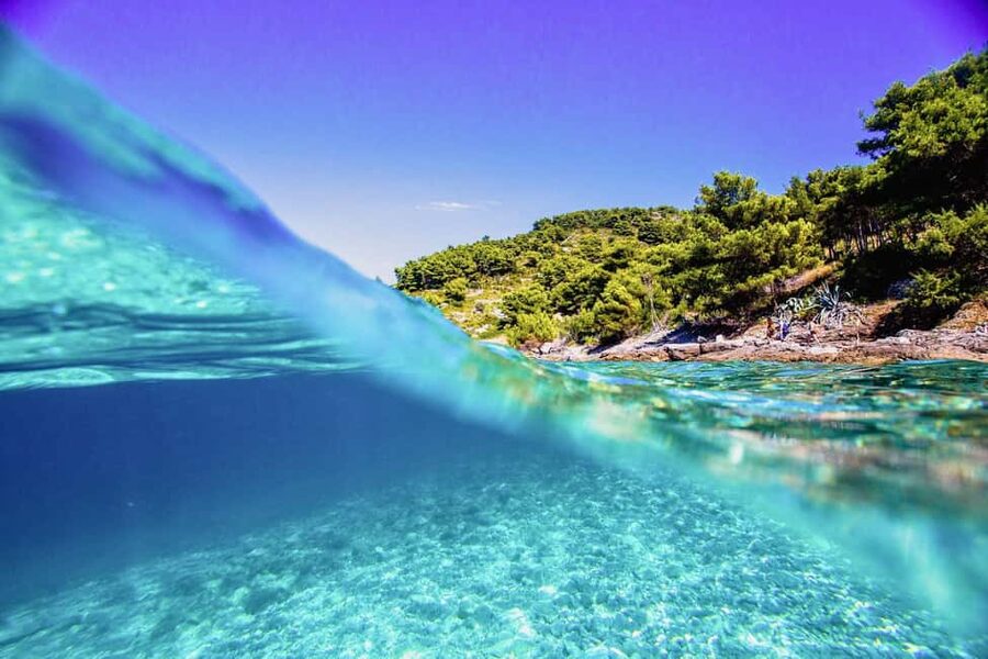 Hvar Tour from Split - Full Day Tour - Who should book this day out