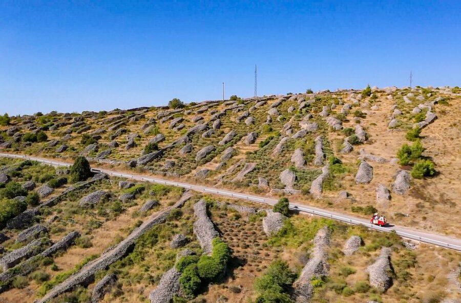 Hvar: Tuk Tuk island tour - Velo Grablje and the story of lavender
