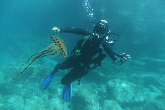 Intro Dive in Dubrovnik - A practical plan for the day