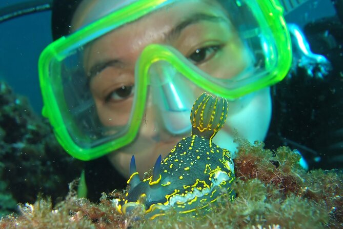 Intro Dive in Dubrovnik - The skills you learn before entering the sea