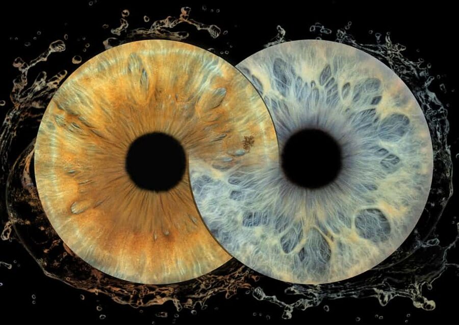 IRIS Photography (macro photo of your eye) - Your iris becomes the main attraction