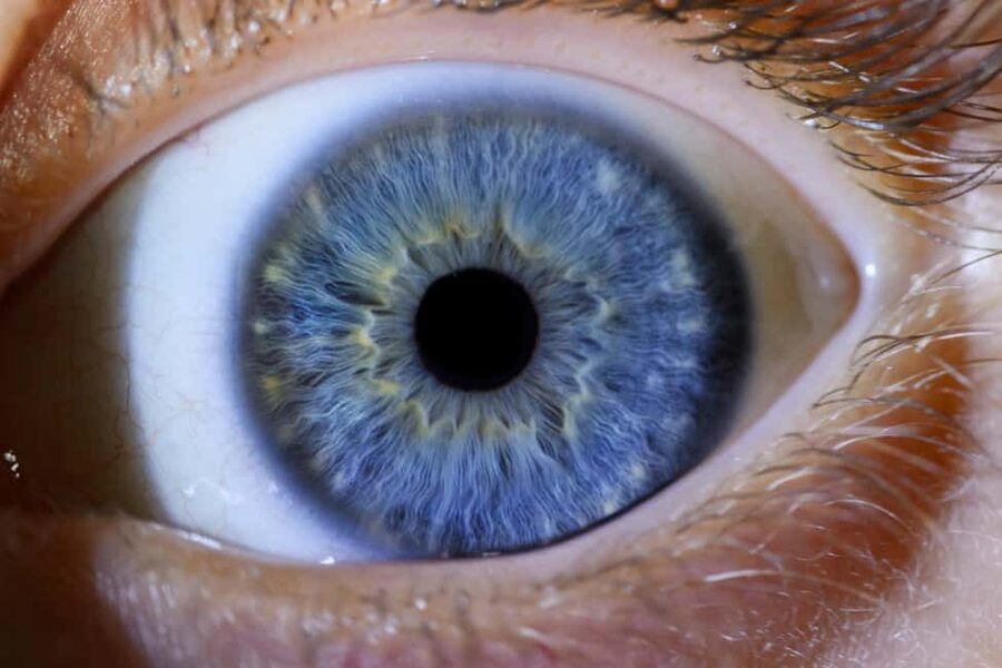 IRIS Photography (macro photo of your eye) - Fitting it into a Split itinerary