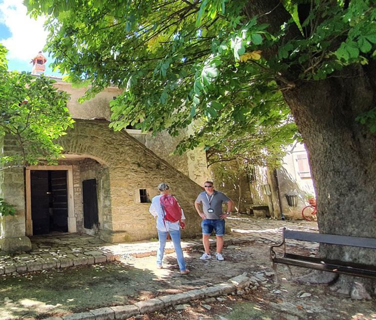 Istria: Guided Tour of Inner Istria with Food Tasting - Motovun combines views, walls, and truffles