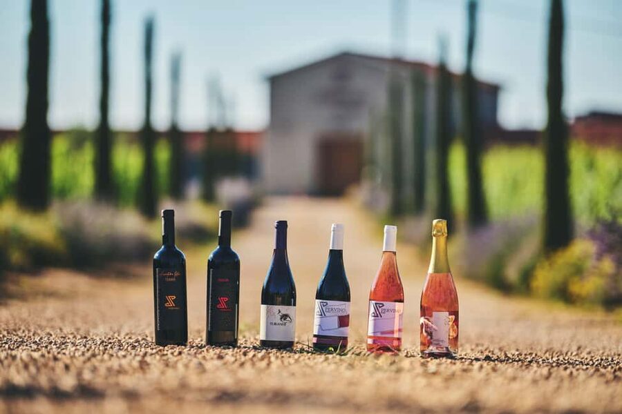 Istria: Pervino wine tasting - Cold cuts, cheese, and Pervino olive oil