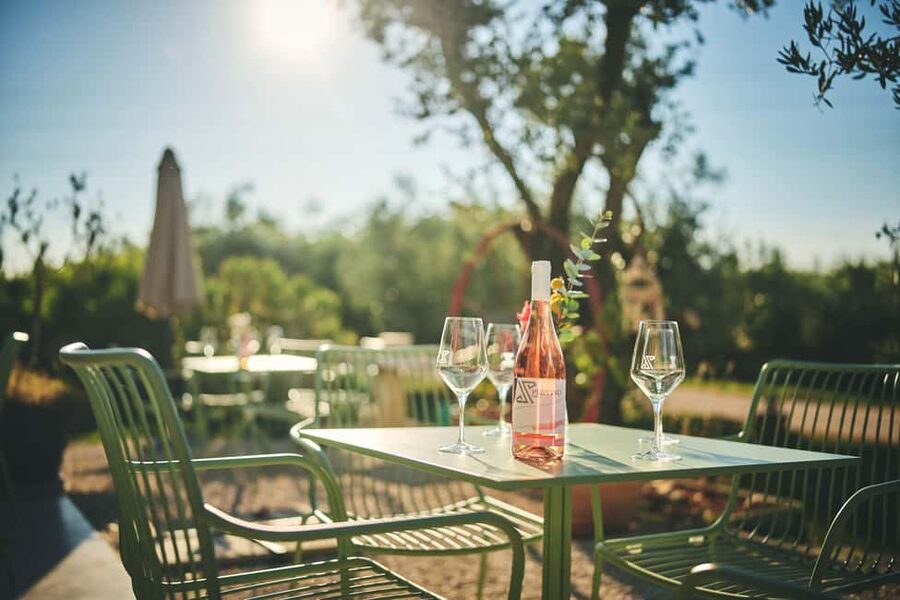 Istria: Pervino wine tasting - Is $41 a fair price?