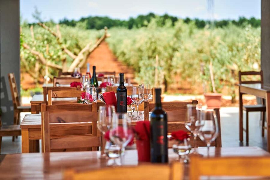 Istria: Pervino wine tasting - Why Malvazija Istarska and Teran matter