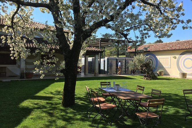 Istrian tapestry - gourmet tour combining wine, truffles and olive oil - Key points at a glance