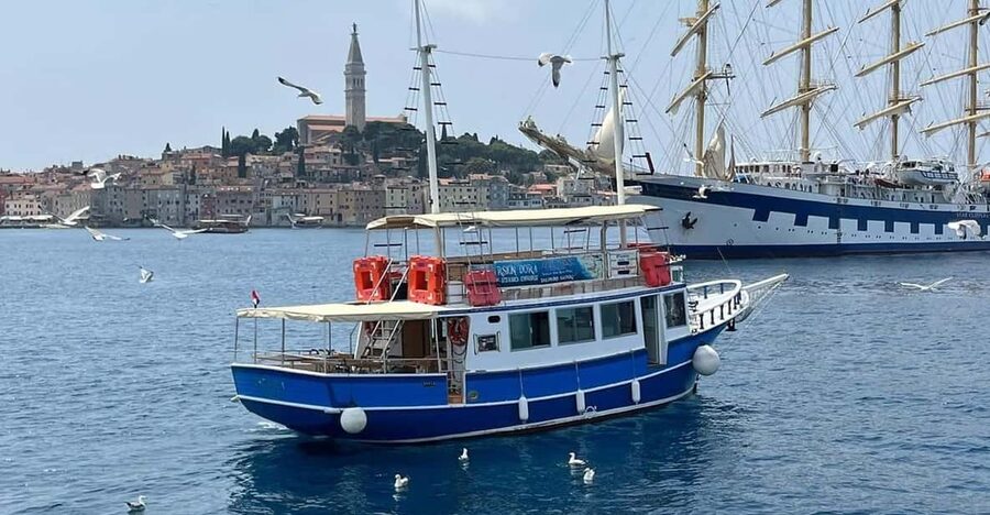 Izlet brodom iz Vrsara: Zalazak sunca i druženje s delfinima - Key things to know before boarding