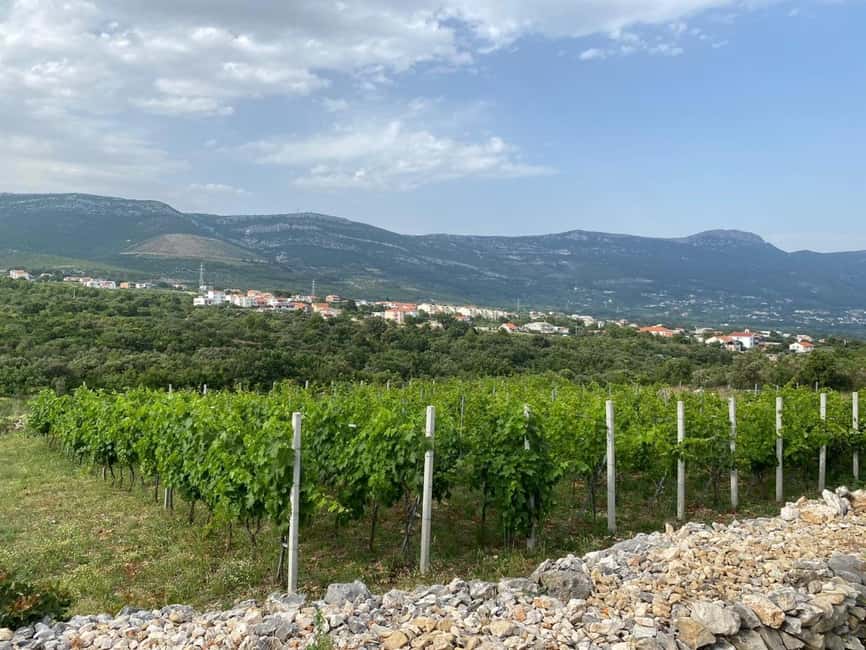 Kastela: Wine & Olive Tasting Tour w/Delicacies & Live Music - Key points at a glance