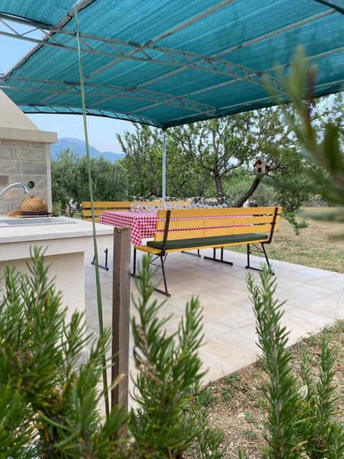 Kastela: Wine & Olive Tasting Tour w/Delicacies & Live Music - The cellar: schnapps, liquor, and the wine process
