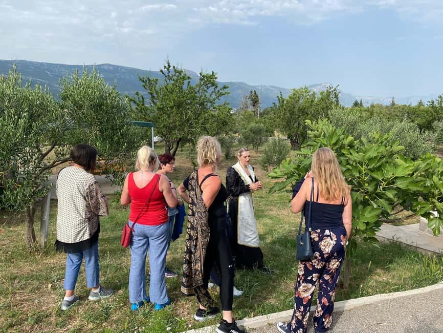 Kastela: Wine & Olive Tasting Tour w/Delicacies & Live Music - Is $173 a fair price?