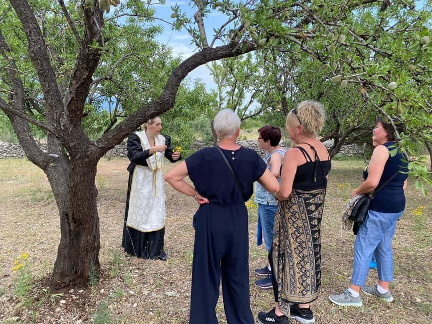 Kastela: Wine & Olive Tasting Tour w/Delicacies & Live Music - Walking through olive, almond, and grape country