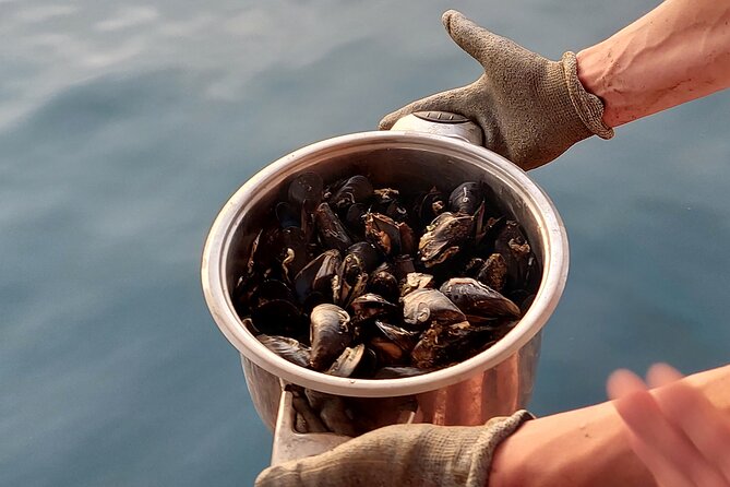 Kayaking and mussels tasting at Krka River estuary-private tours - The shell farm and fresh mussel tasting
