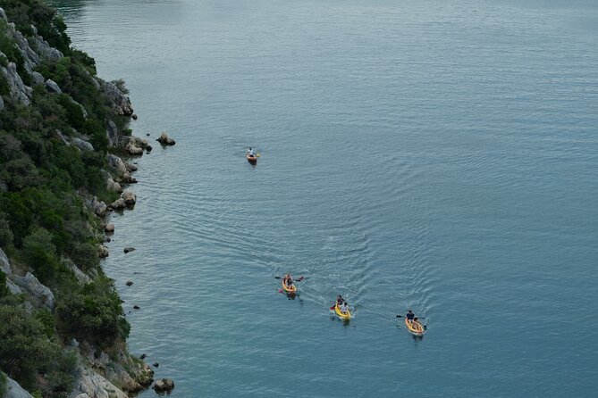 Kayaking and mussels tasting at Krka River estuary-private tours - Why Ivan matters to the experience