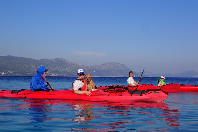 Kayaking Korčula's Paradise -Half Day Guided Kayak Tour - Is $83.27 good value?