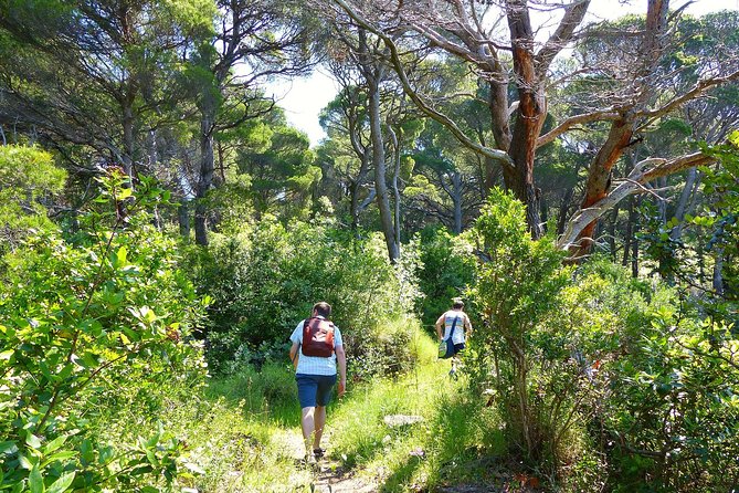 Kolocep Island Hiking and Swimming Full Day Trip from Dubrovnik - A secluded swimming stop about two-thirds into the hike