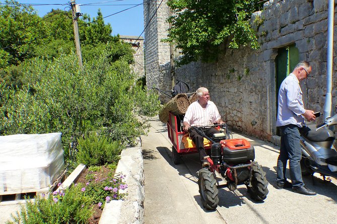 Kolocep Island Hiking and Swimming Full Day Trip from Dubrovnik - What the $105.86 price really covers