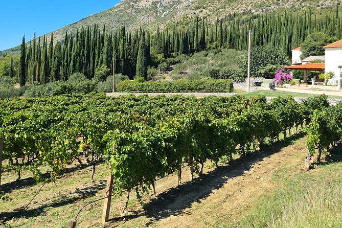 Konavle Gastro & Culture Tour (Private Tour) - Is $612.78 per person fair?