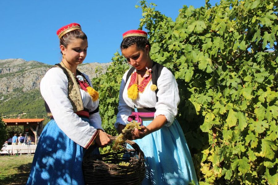 Konavle Valley: Private Half-Day Tour with Wine Tasting - Key points to know