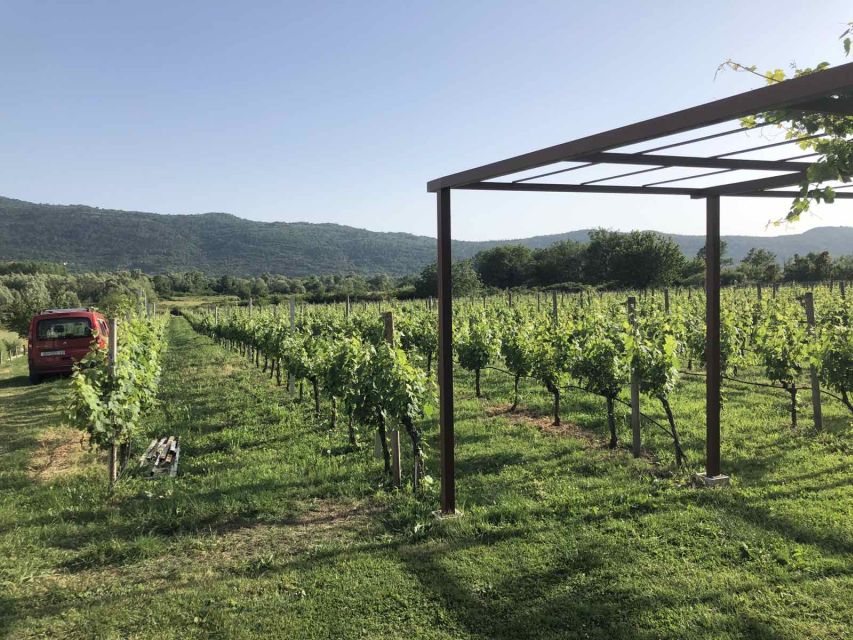 Konavle Valley: Private Half-Day Tour with Wine Tasting - Why the private price can make sense